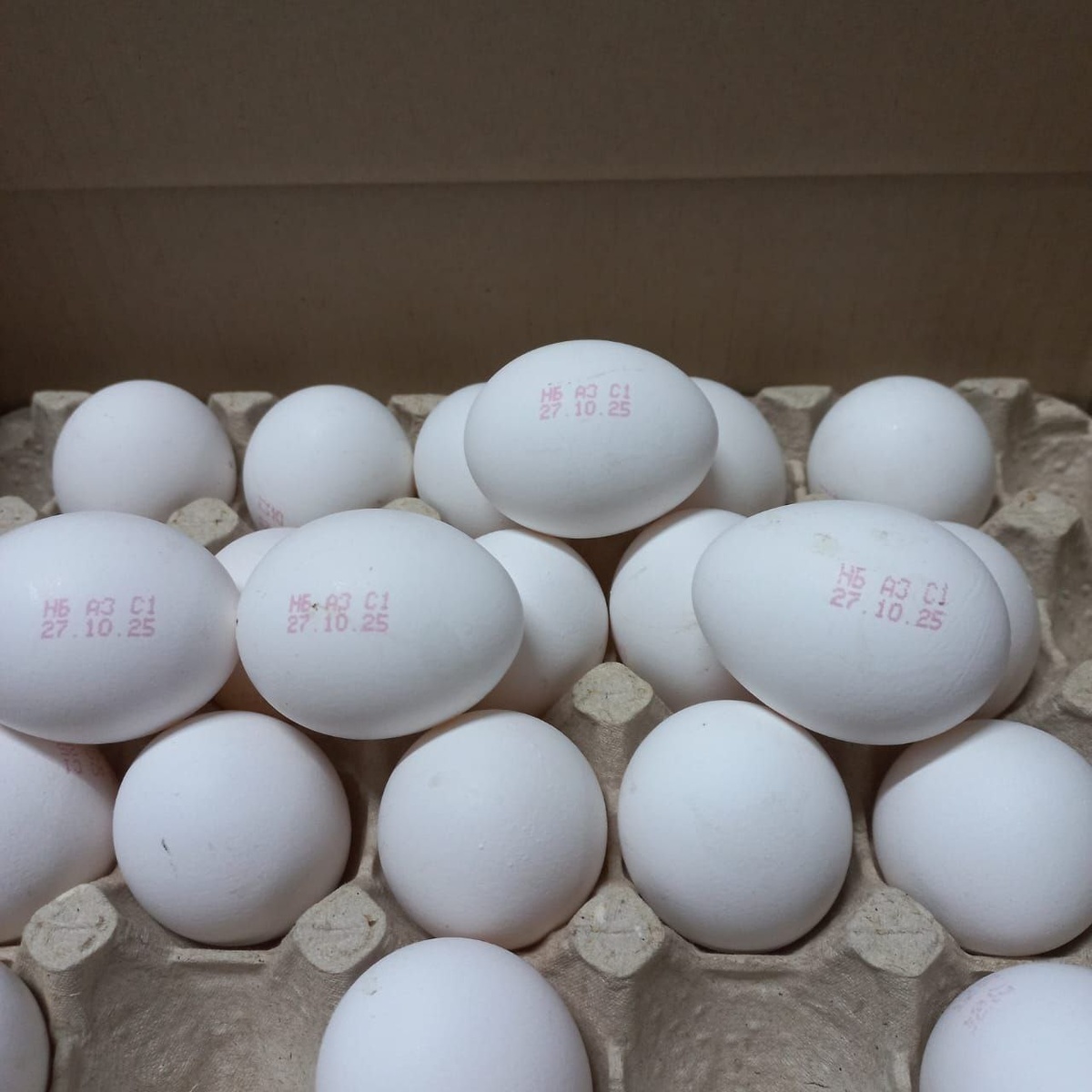 пресс-служба Управления Россельхознадзора по Иркутской области