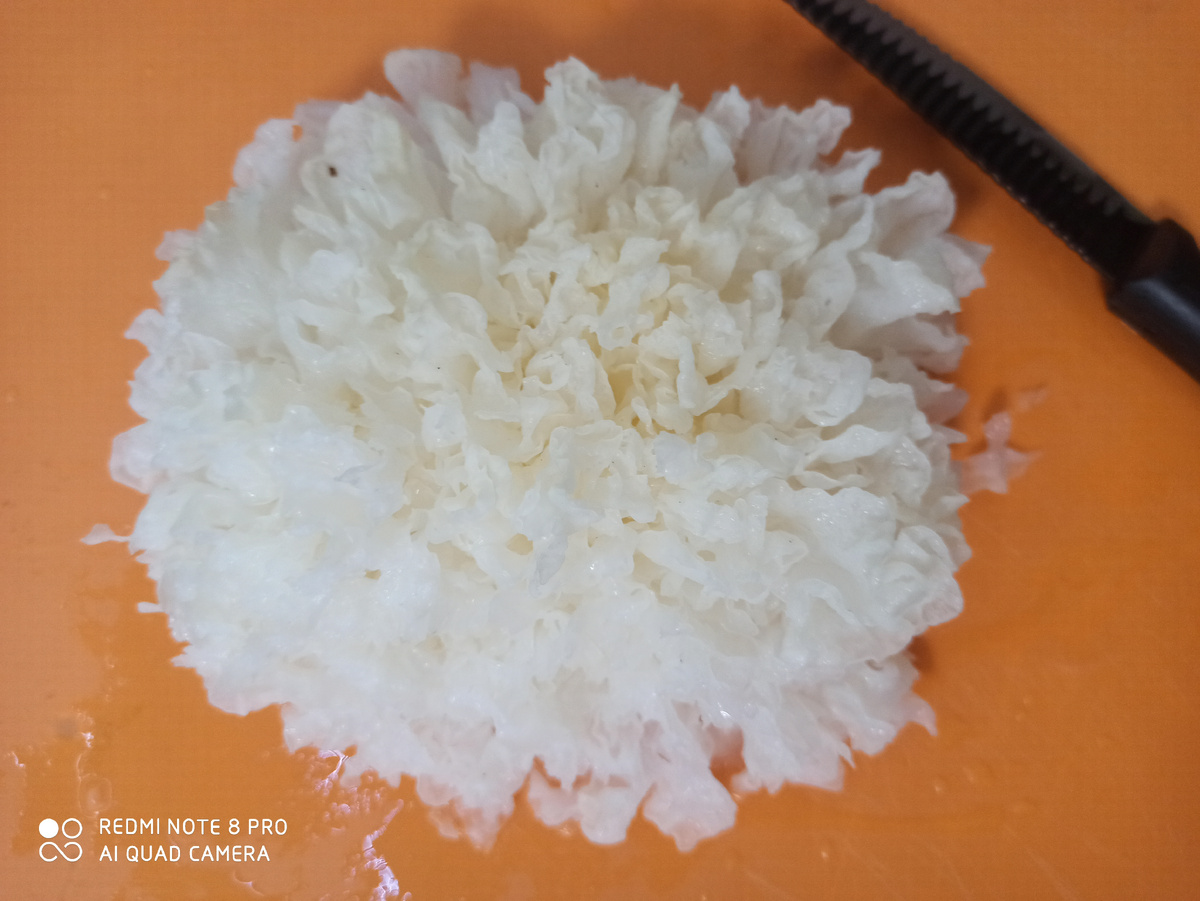 Это гриб тремелла, просто название музыкальное, практически тремоло. Такое тоже едим.