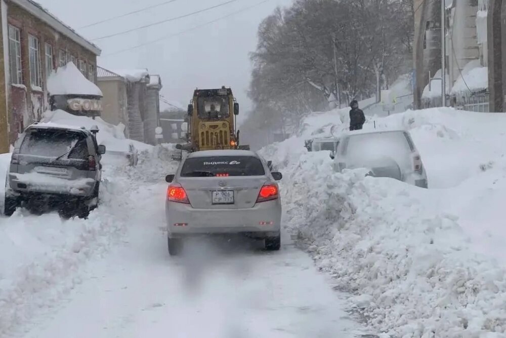    Фото: соцсети