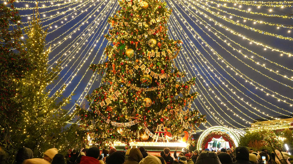 Фото: ИЗВЕСТИЯ/Дмитрий Коротаев