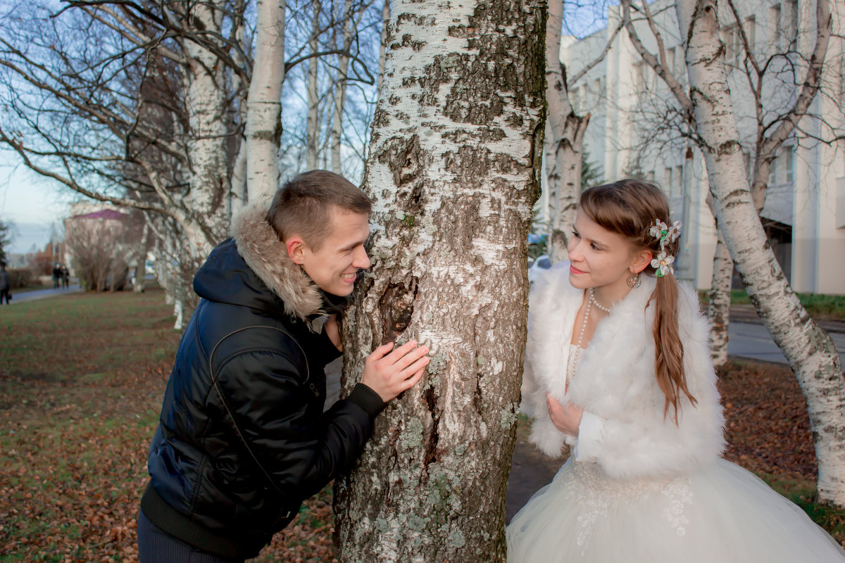 Фото взято в Яндексе.