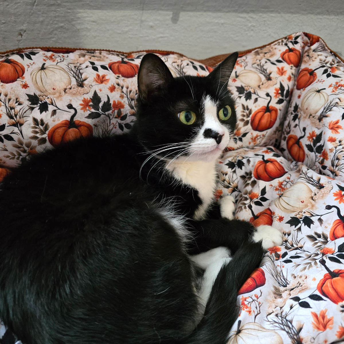 зеленые глаза помнят боль 