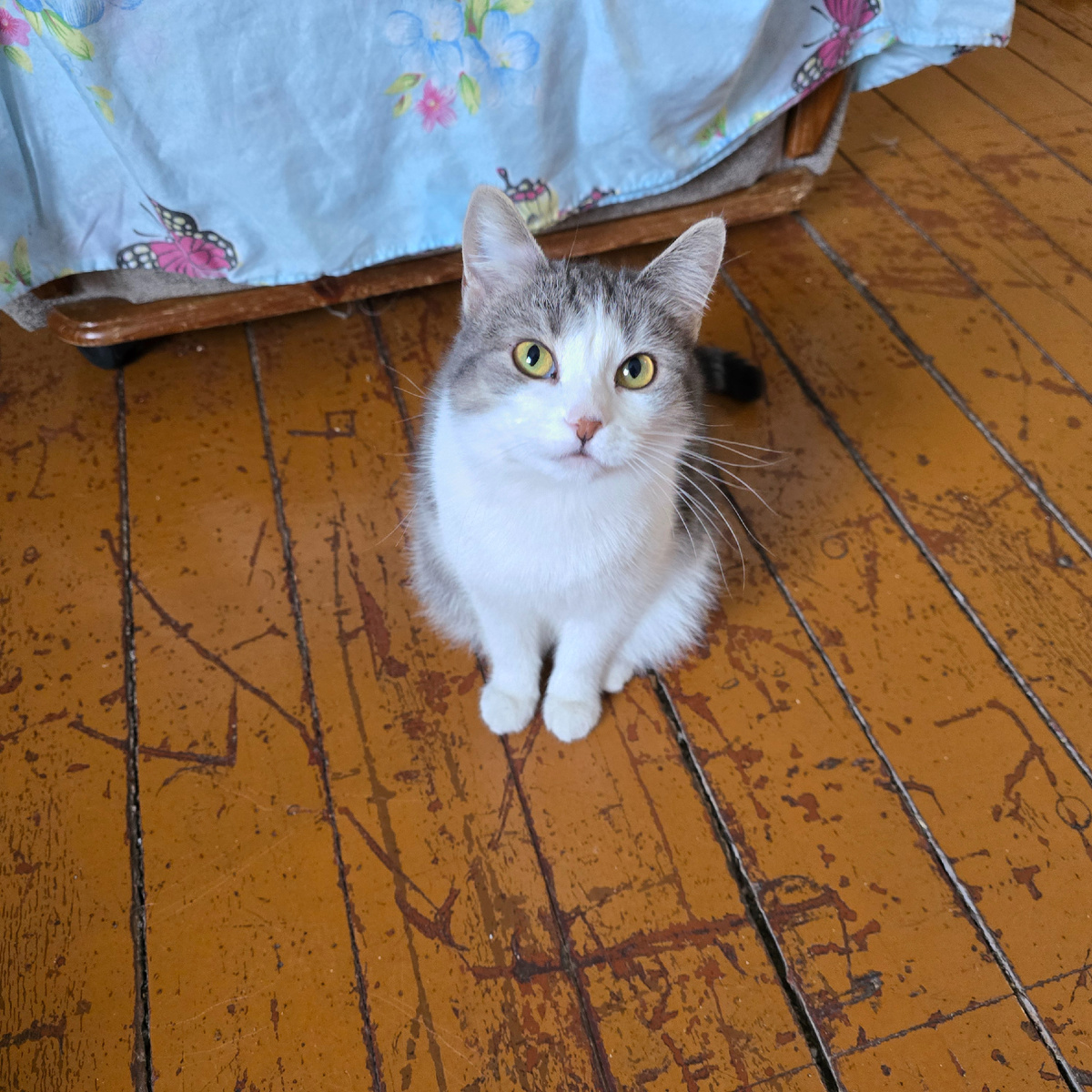 молодые глаза ищут надежду среди морозов