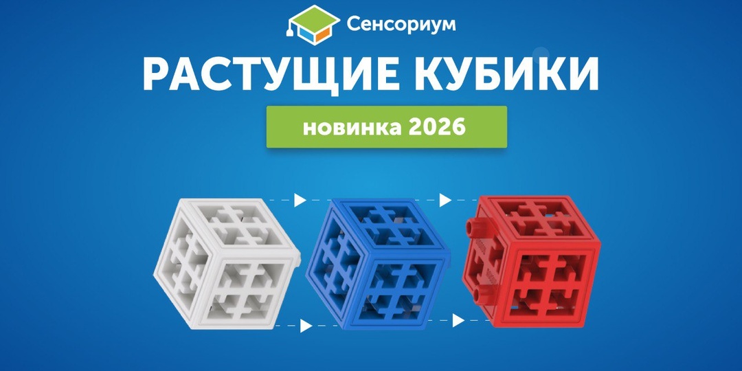 🇷🇺 Раскрываем карты