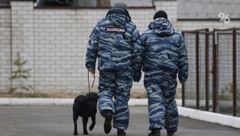      Фото: ИА «Победа26»