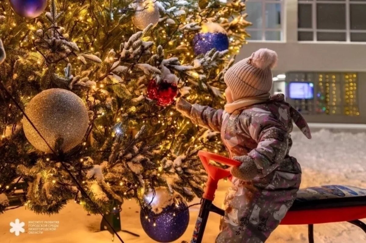    Нижегородские елки проиграли во всероссийском конкурсе «Елки России»