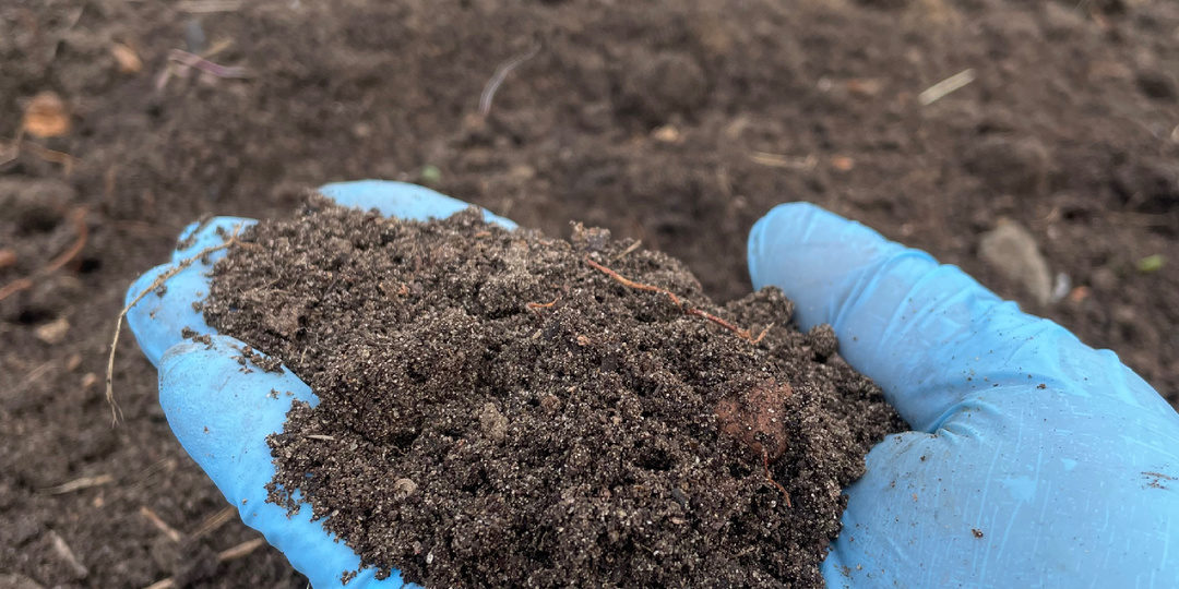 Самая первая причина, по которой не удается получить достойный урожай - это качество земли.