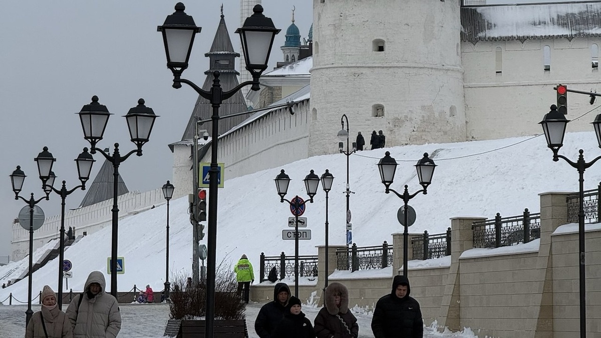    Саберзянова Милена