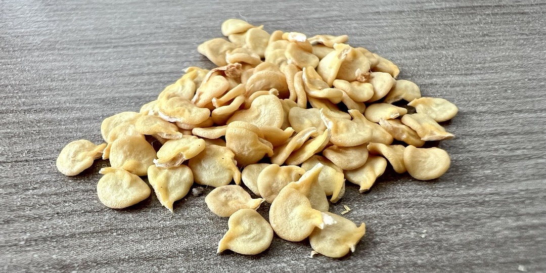 Как посеять перец на рассаду: мой странный/чешский способ из 17 пунктов