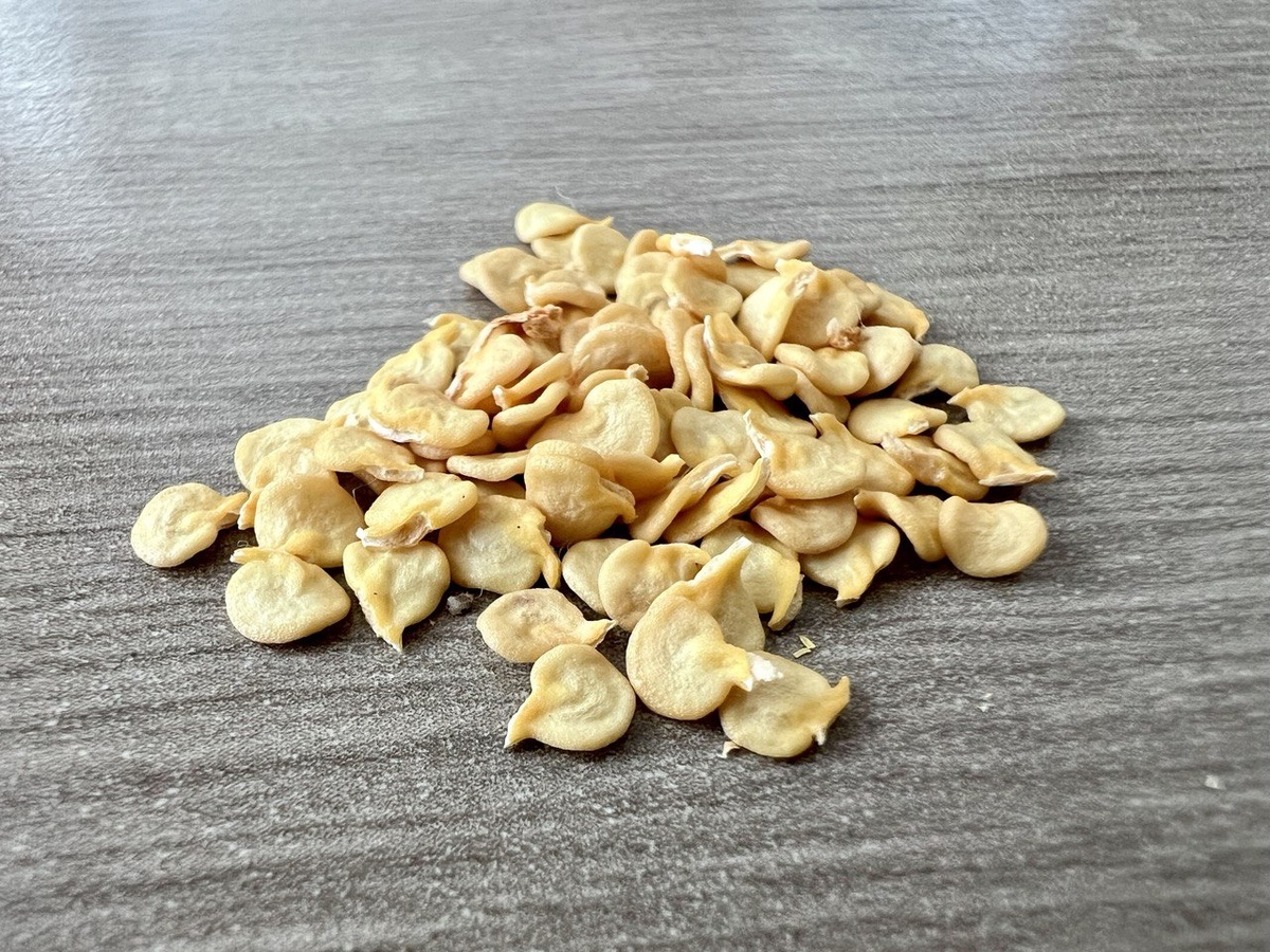 Семена перца