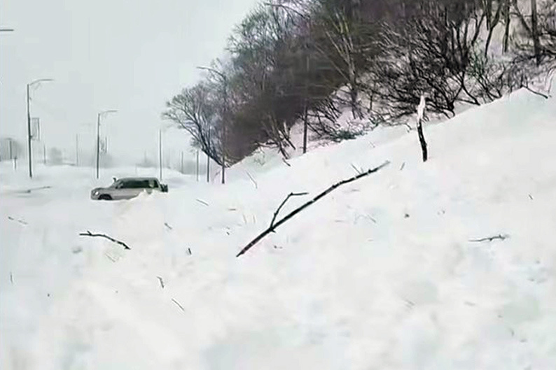 Фото: скриншот с видео из телеграм-канала губернатора Камчатского края