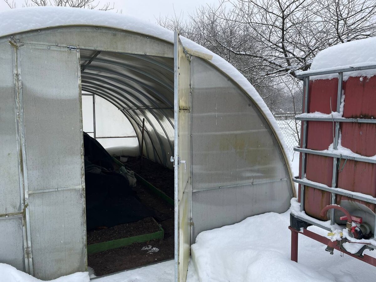 Открываем двери теплицы в безветренные дни для более глубокого промораживания почвы. Фото автора