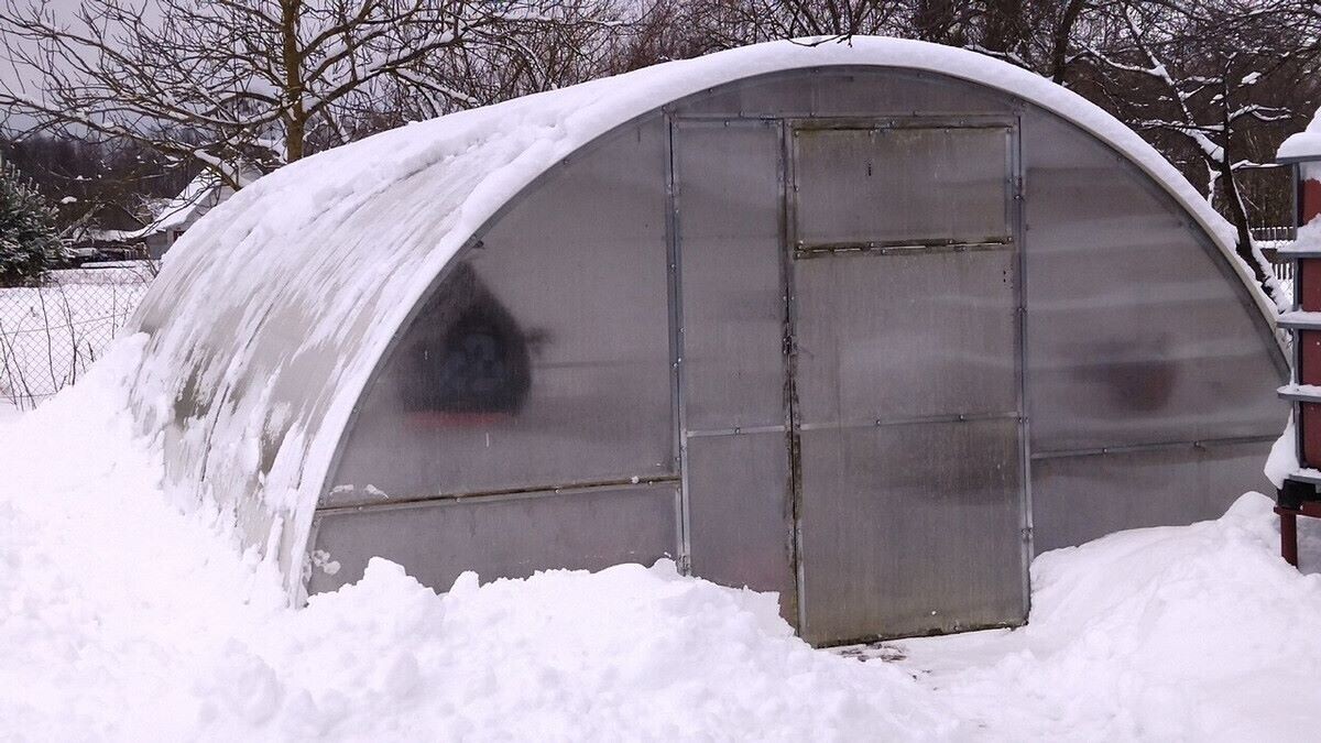 От греха подальше двери теплицы лучше держать закрытыми. Фото автора 