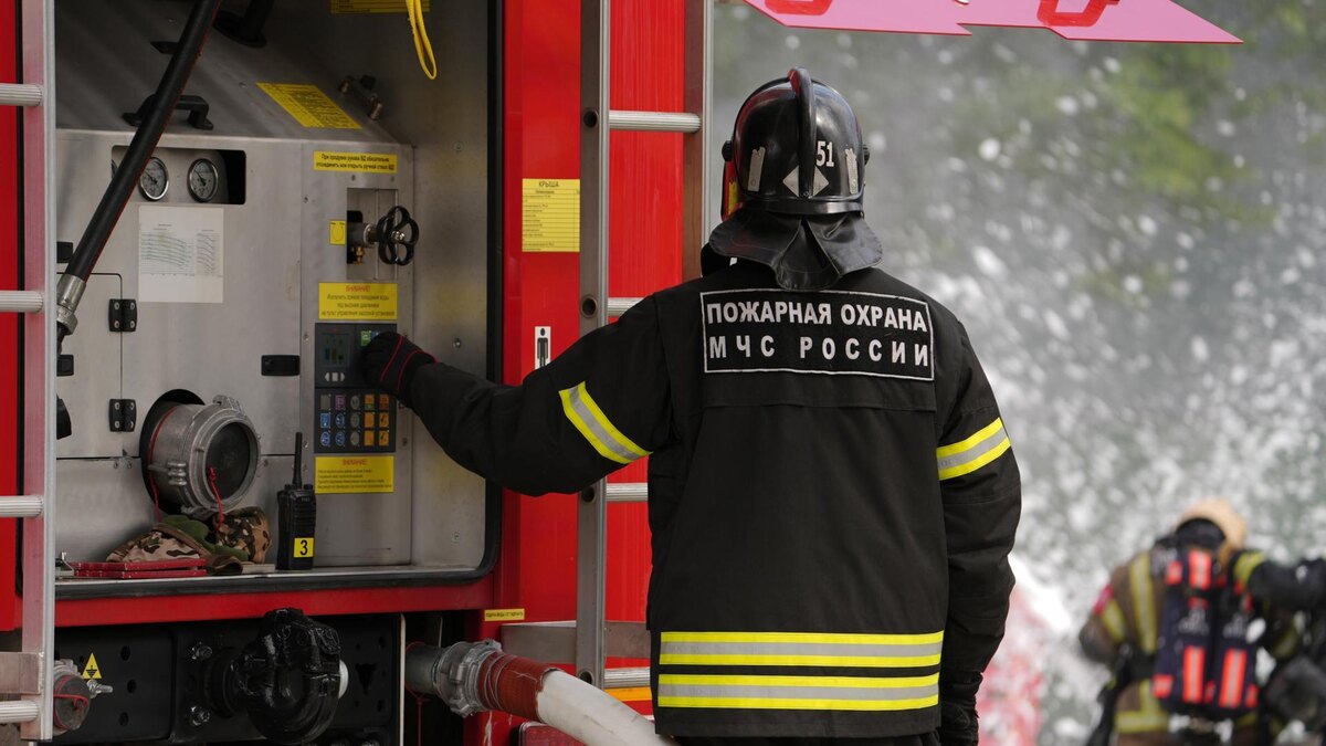    Фото: ИЗВЕСТИЯ/Известия