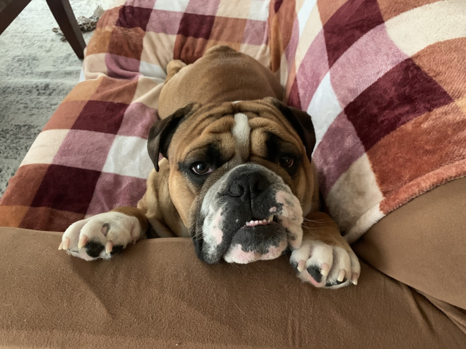    Shutterstock/FOTODOM