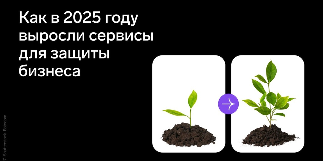 Как в 2025 году выросли продукты для защиты бизнеса
