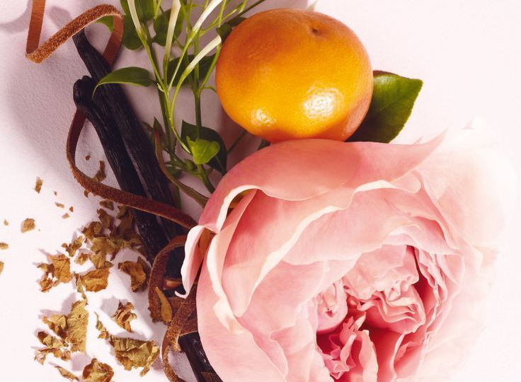 Чем пахнет молодость? Запах, который обманывает мозг: Почему некоторые ароматы меняют возраст?