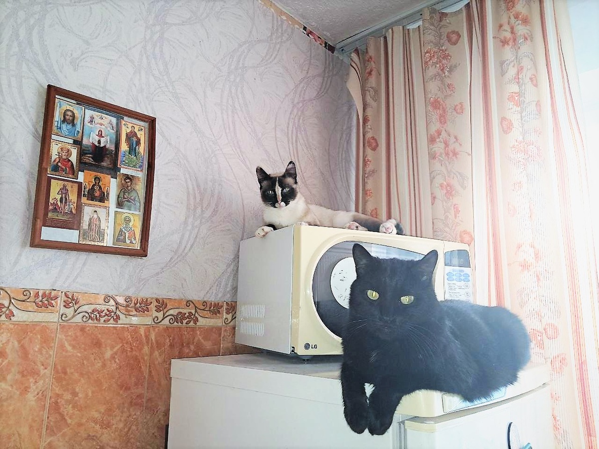 Благодарю за фото Марию ЕЩЕНКО)