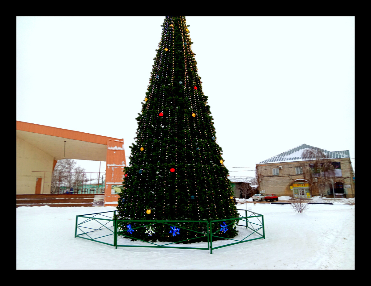 Фото автора 