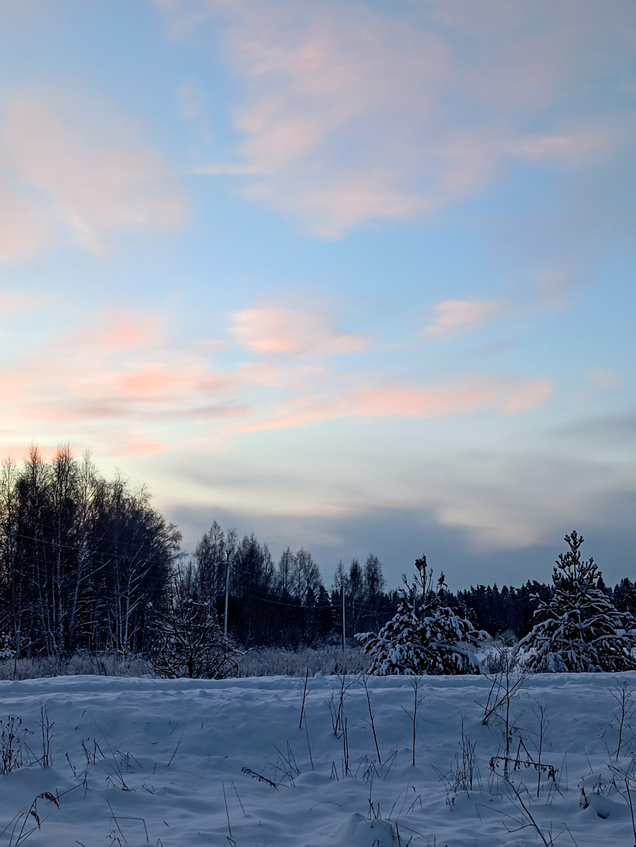 Зимний морозный день... И вечные Небеса