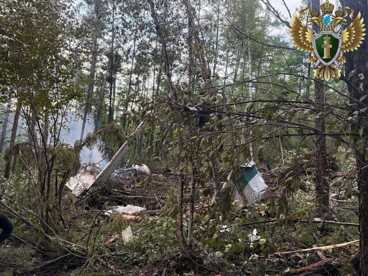    Место крушения пассажирского самолета Ан-24 в Амурской области | © Фото : Дальневосточная транспортная прокуратура