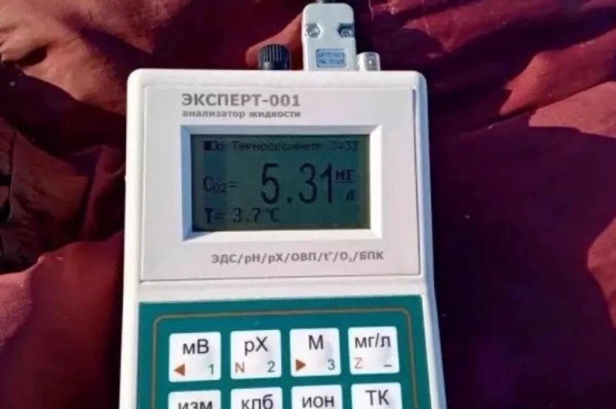    Содержание кислорода проверили в озерной воде Ивано-Арахлейского парка