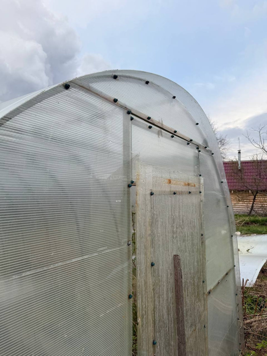 В прошлом году теплица сильно пострадала по определенным причинам, пришлось менять поликарбонат. 