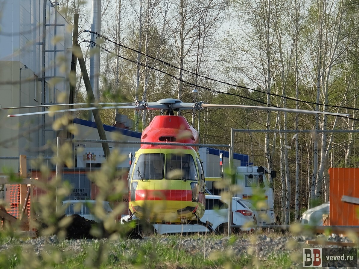     Фото: Владислав Постников / Вечерние ведомости