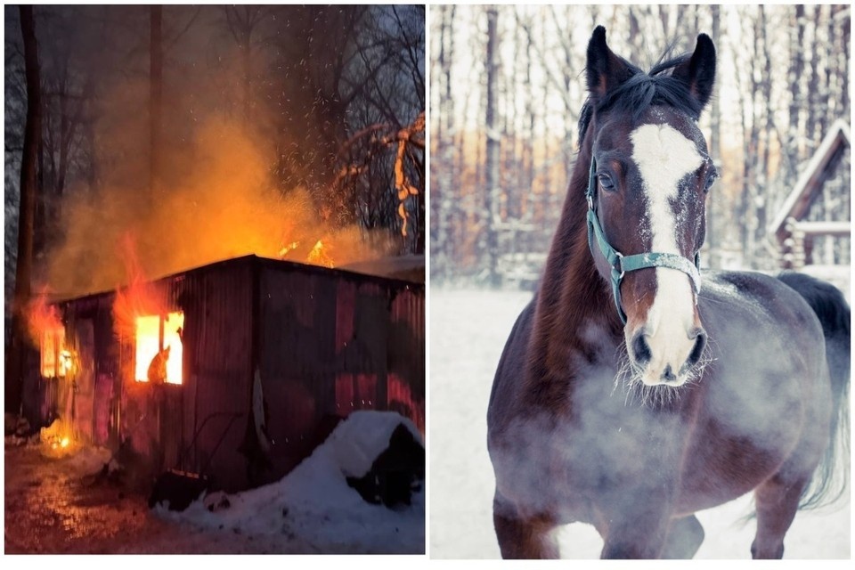    В результате пожара клуб остался без теплых помещений. Фото: https://vk.com/clubay_ryabova