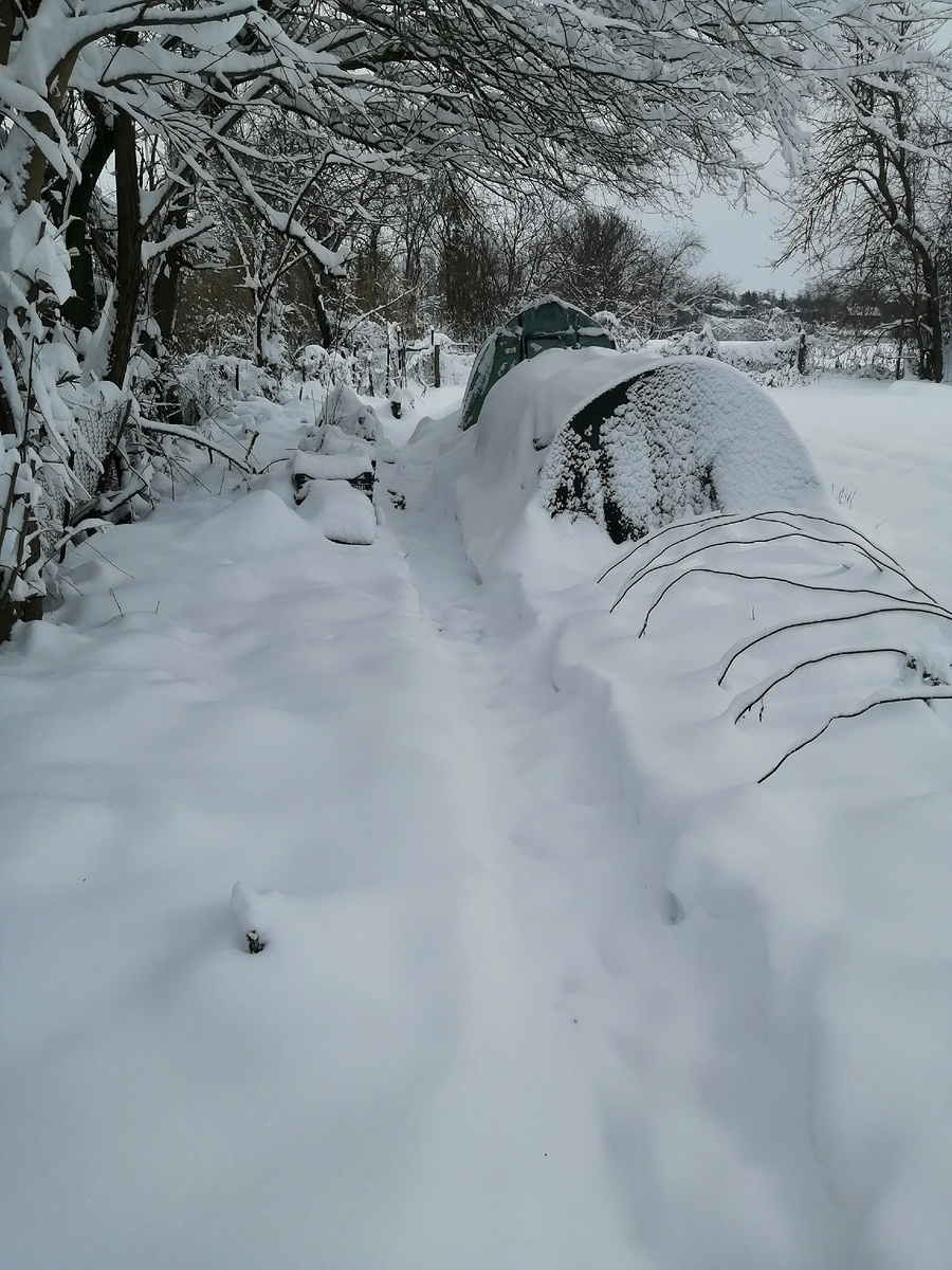 Вид на холодные теплицы