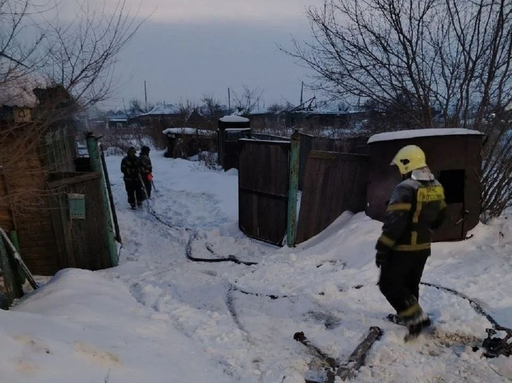     Фото: МЧС Алтайского края