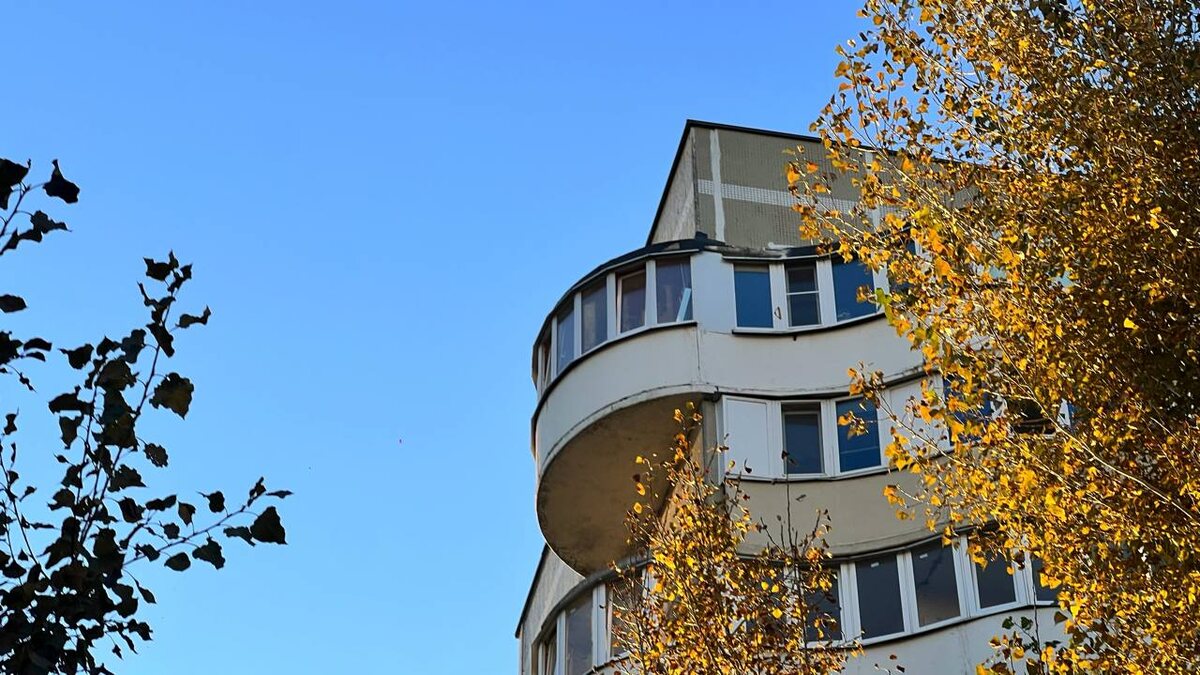    Анна Сальникова