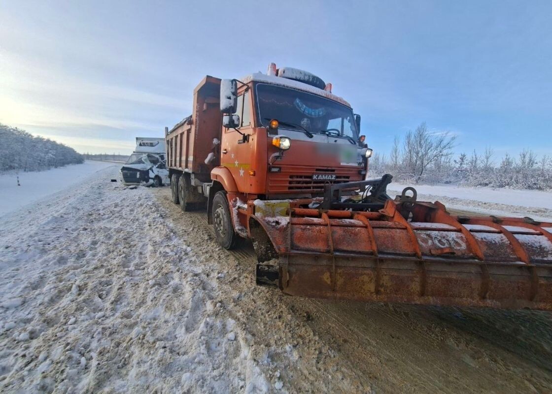    Фото: УМВД по Воронежской области