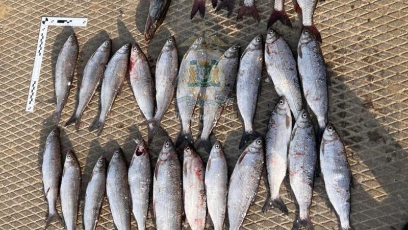    Житель Нефтеюганска предстанет перед судом за незаконную добычу рыбы