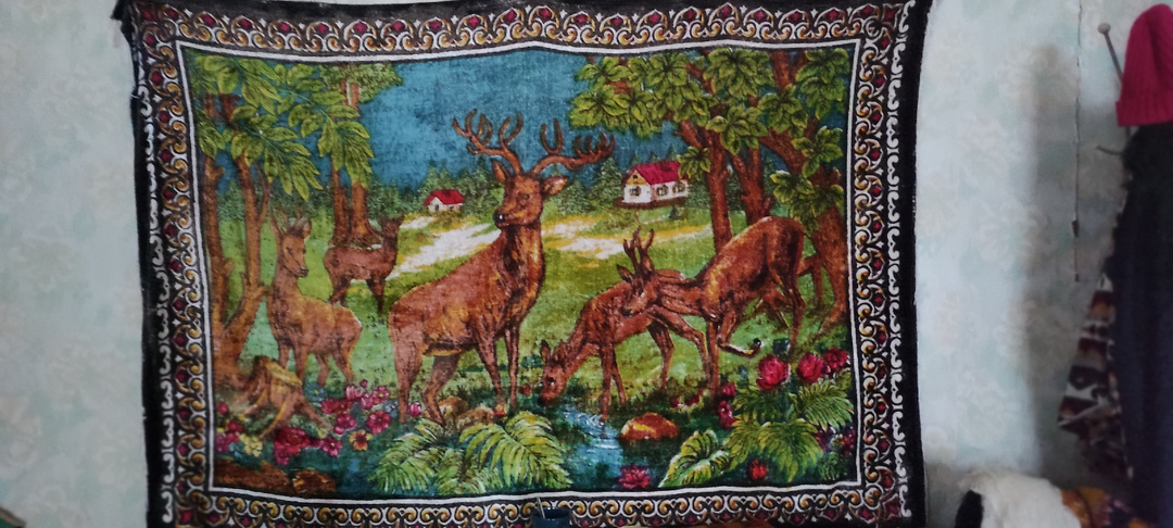 Снимали домик в деревне. Интерьер 70-80гг. прошлого столетия.