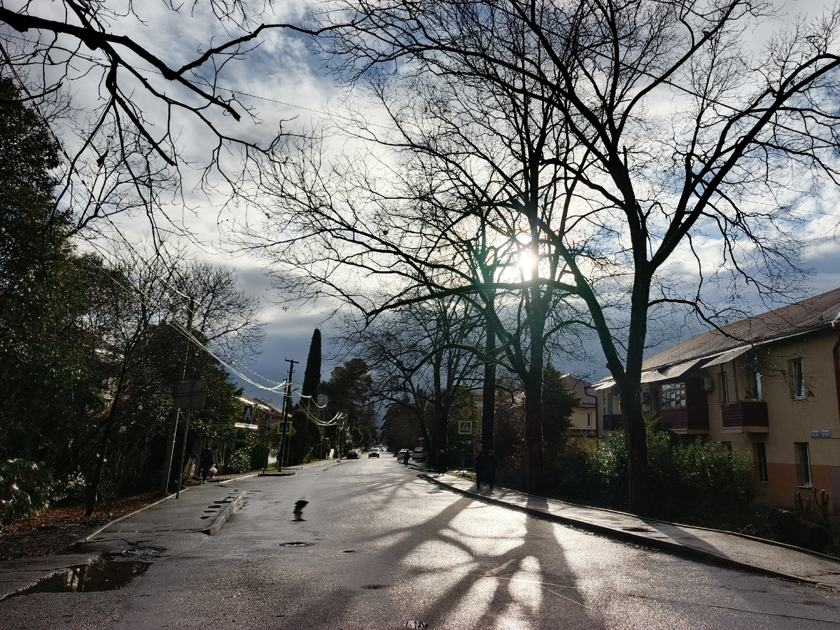 Адлер, дождливый январь 2026 года