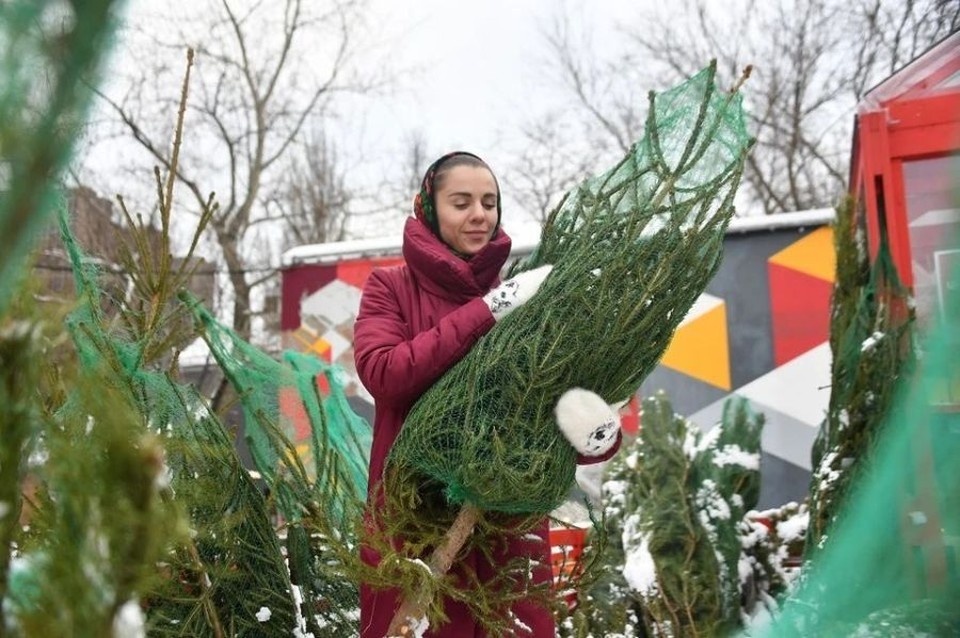   Евгения ГУСЕВА