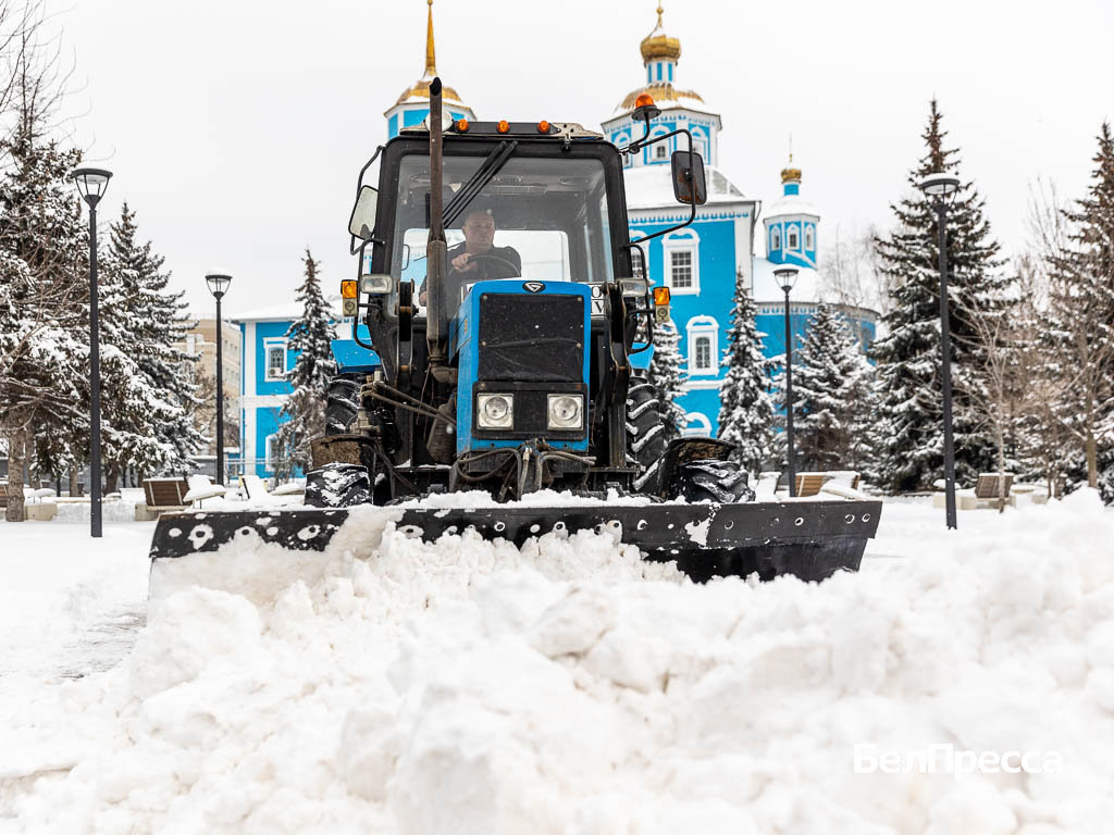     Фото: Алексей Дацковский