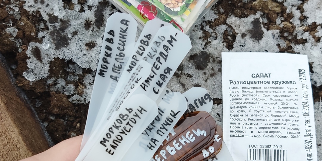 Первые посевы в теплице в 2026 году