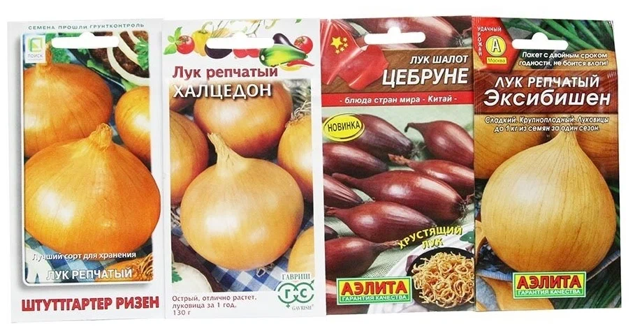 Яндекс. Картинки