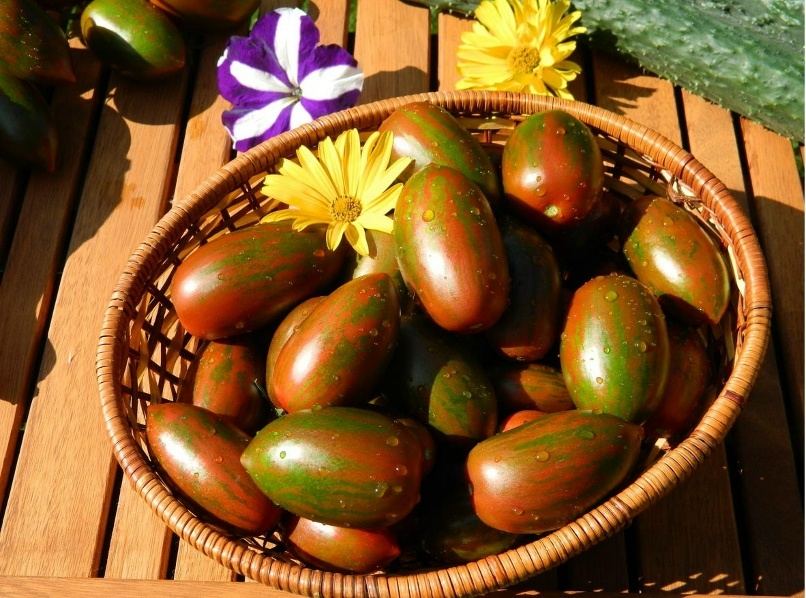 Красный камуфляж