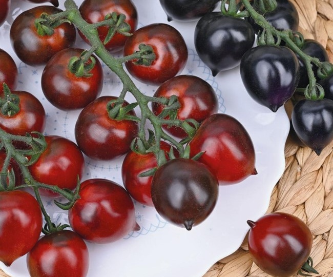 ТОП-5 новых гибридов томата