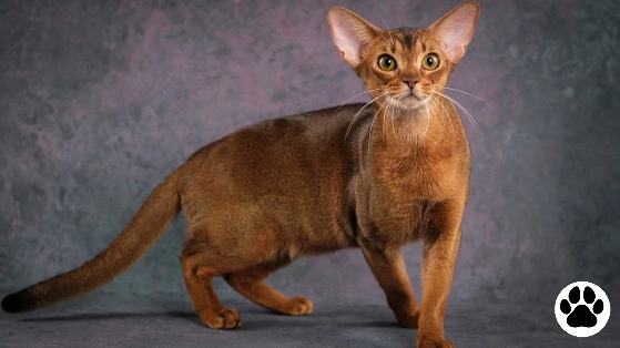 Фото: Dina da / Shutterstock / FOTODOM