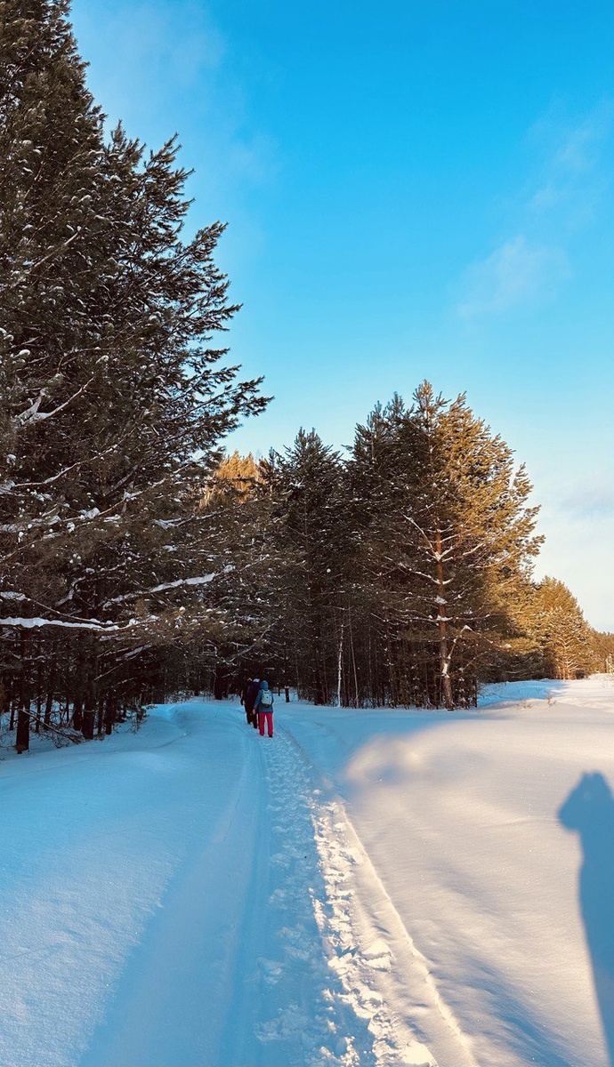   Вот так я топала, утопая в снегах, 21 км, при минус 22 градусах. Как вернулась домой - не помню, очнулась в ванной.