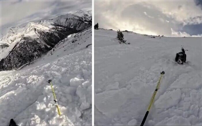     / Источник: Кадр из видео