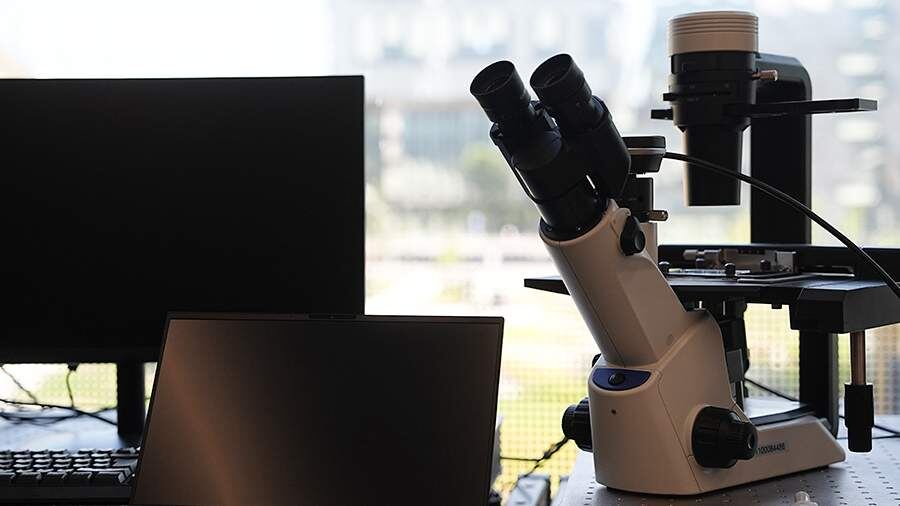    Фото: ИЗВЕСТИЯ/Павел Волков