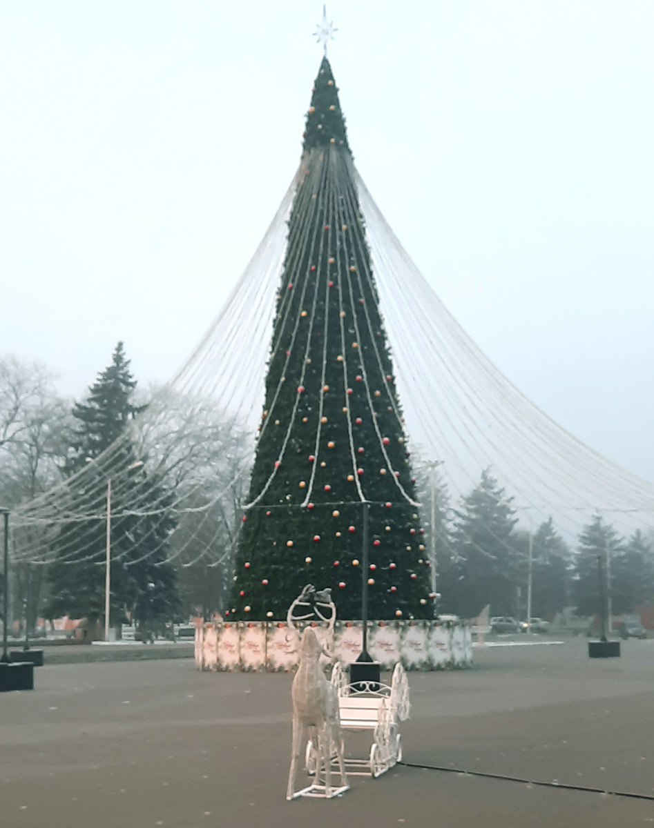 Под нашей главной новогодней красавицей можно еще успеть загадать желание. Фото Полины СЕМЕНЧЕНКО.