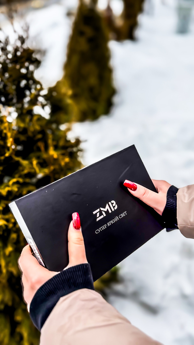 Минилинзы ZMB