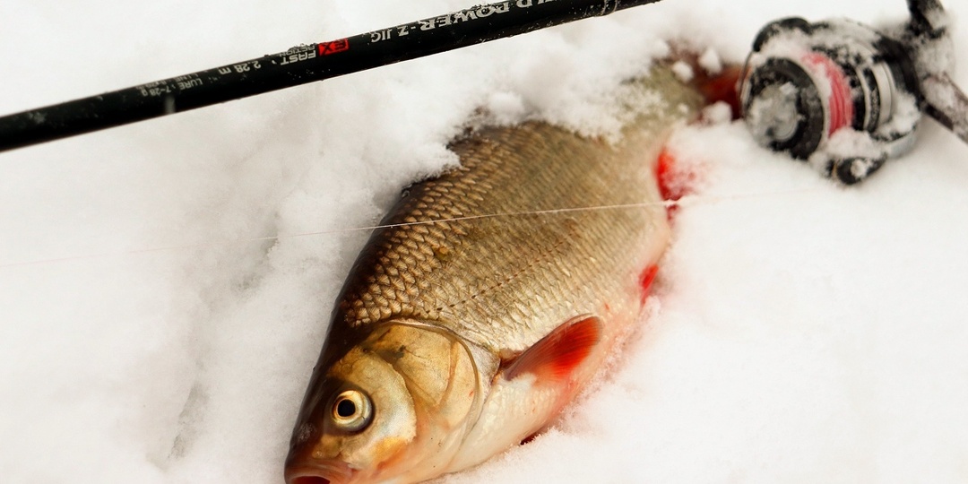 Зимняя ловля плотвы со льда: три проверенных приема для стабильного клева