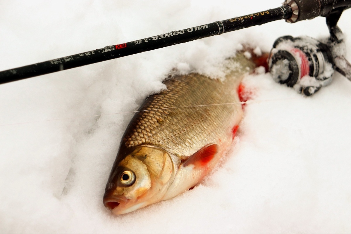  Спиннинг Maximus Wild Power Z Jig 228M 